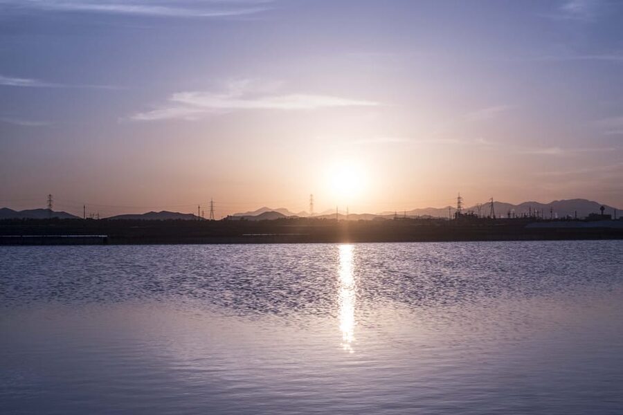 Cagliari: Conti Vecchi Salt Flats Train and Tour - Flamingos and birdlife in their natural setting