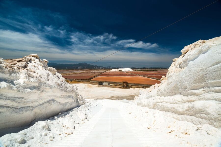 Cagliari: Conti Vecchi Salt Flats Train and Tour - Arriving at Assemini and Macchiareddu
