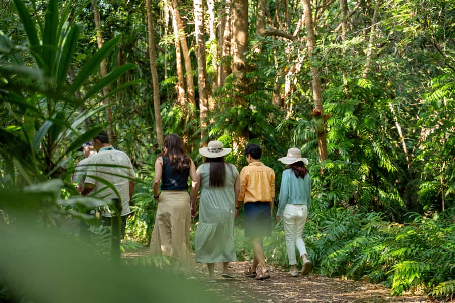 Cairns: Cattana Wetlands, Barron Falls & Kuranda Railway - Cattana Wetlands: a gentle start among feather palms