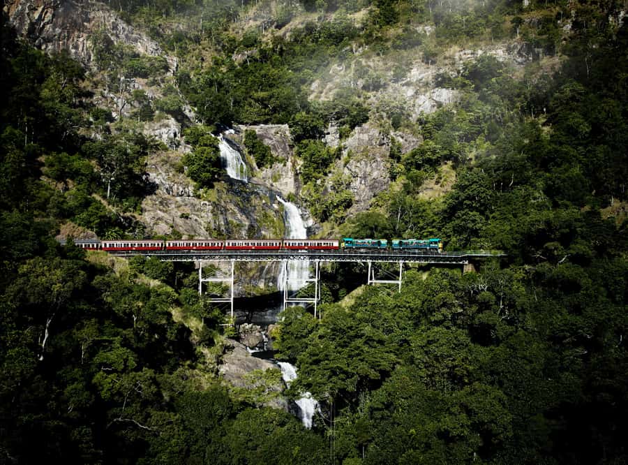 Cairns: Cattana Wetlands, Barron Falls & Kuranda Railway - Emerald Creek Ice Creamery: four flavors and a local finish to the food stops