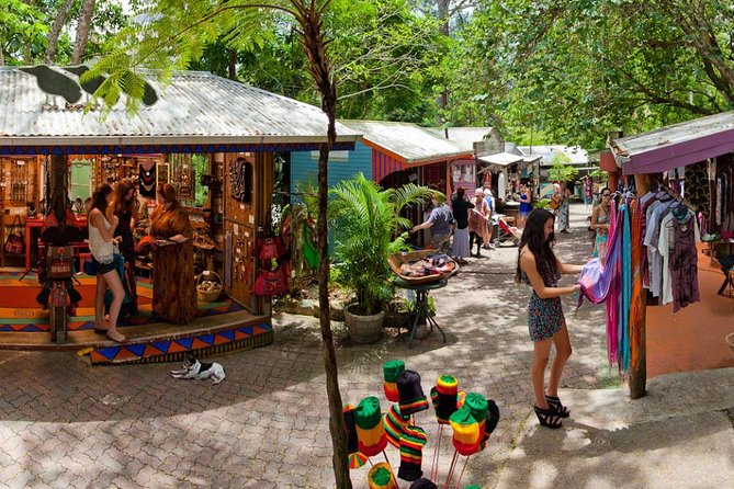 Cairns Super Saver: Reef Cruise, Daintree & Kuranda Rail/Skyrail - Daintree and Cape Tribulation by 4WD
