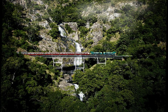 Cairns Super Saver: Reef Cruise, Daintree & Kuranda Rail/Skyrail - Organization, pickups, and practical details