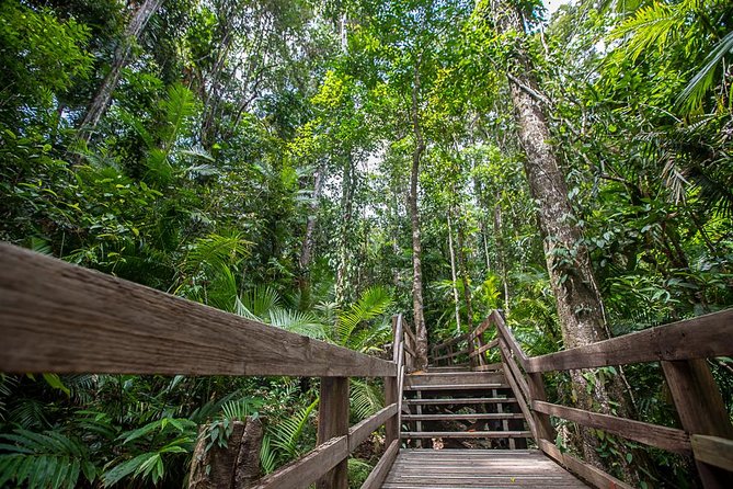 Cairns Super Saver: Reef Cruise, Daintree & Kuranda Rail/Skyrail - FAQ