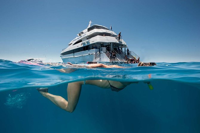 Cairns Super Saver: Reef Cruise, Daintree & Kuranda Rail/Skyrail - Kuranda Railway up and Skyrail back