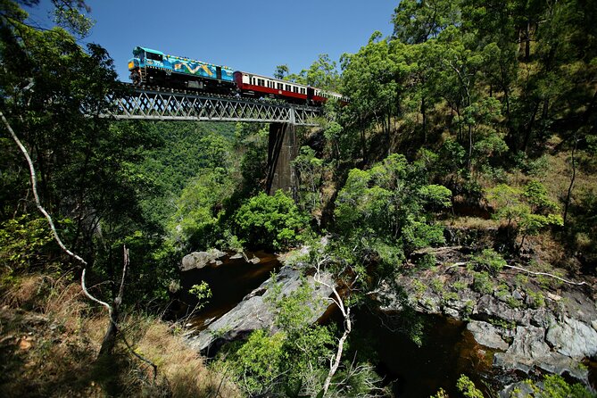 Cairns: Waterfall, Wetlands & Kuranda Scenic Rail All Inclusive - Kuranda Scenic Rail: the trip’s clear highlight