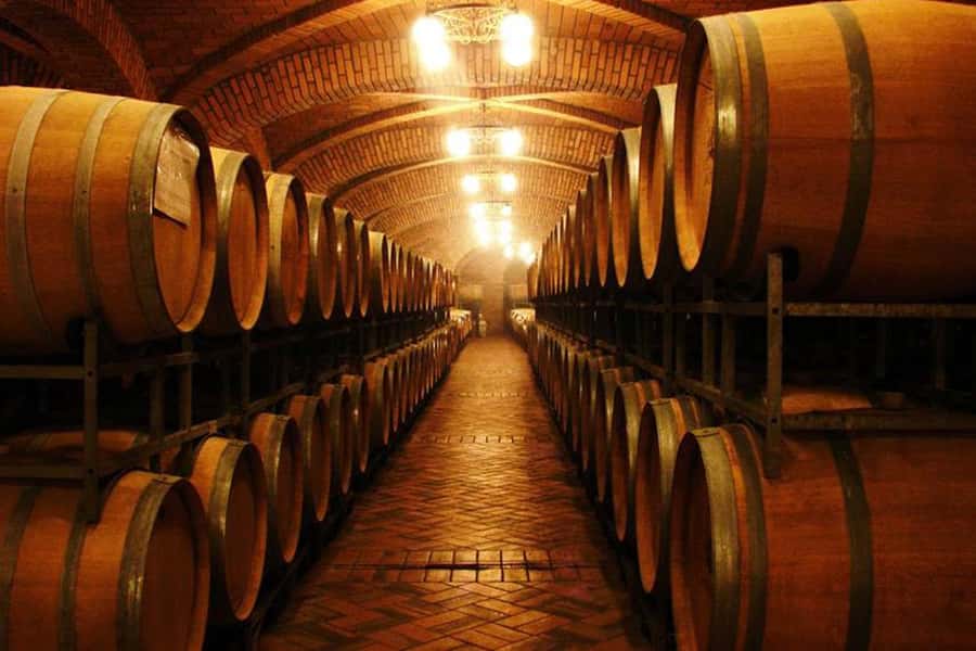 Canela/Gramado: South Wineries, Wine Train, & Italian Park - Maria Fumaça between three wine towns