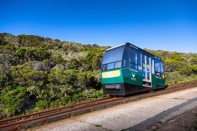 Cape Point Flying Dutchman Funicular Return Ticket - Coming back down