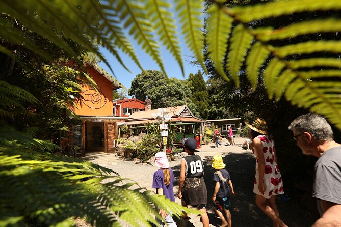 Captivating Railway Journey in Coromandel - Starting at 380 Driving Creek Road