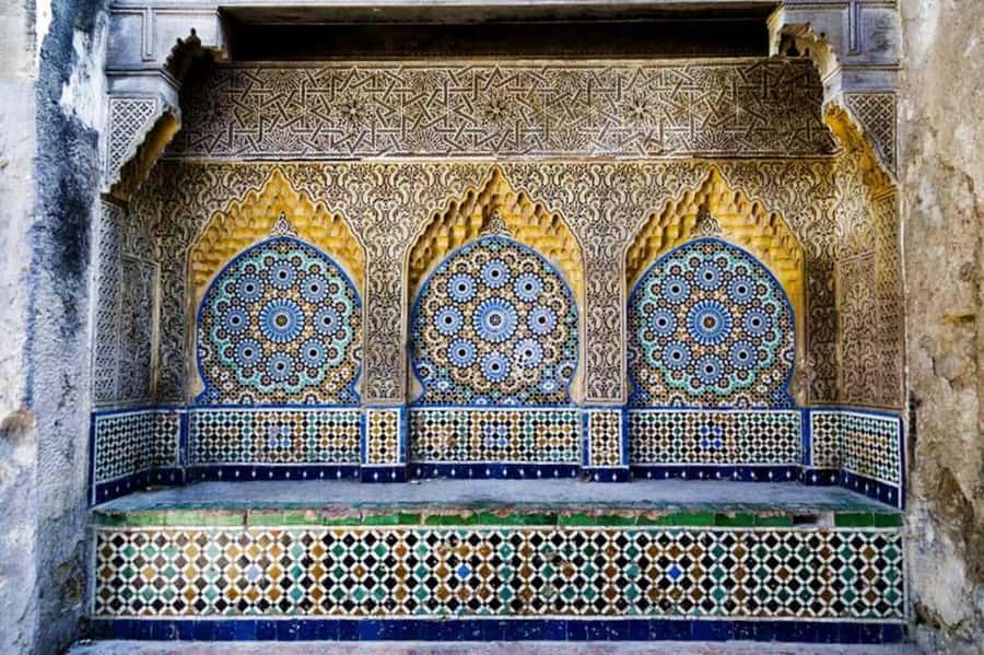 Casablanca to Tangier Guided Day Trip By High-Speed Train - A free camel ride, with realistic expectations