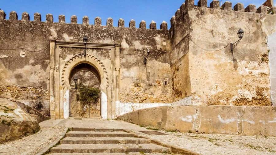 Casablanca to Tangier Guided Day Trip By High-Speed Train - What $147 buys you