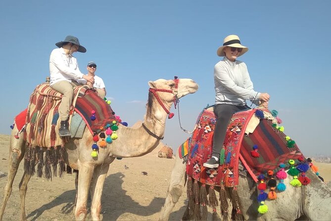 Cheap Egypt holiday 11 Days Cairo-Luxor-Aswan-Abu Simbel by sleeping train - Day 7: the 3:30 a.m. road to Abu Simbel