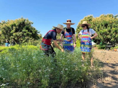 Chiang Mai : Cook in Farm, Market tour & Go by a Local Train