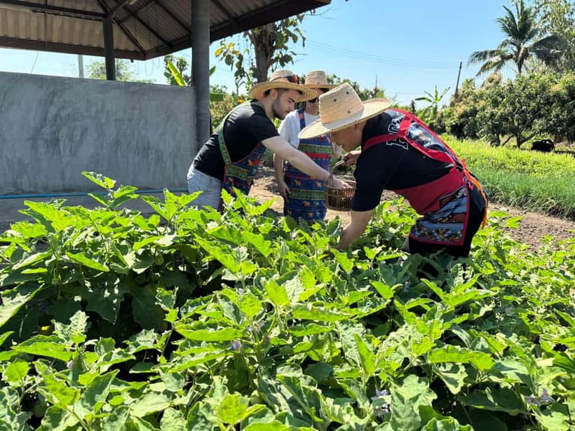 Chiang Mai : Cook in Farm, Market tour & Go by a Local Train - What the $57 price really covers