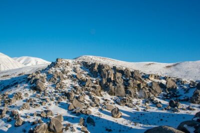 Christchurch to Arthur’s Pass Day Tour: TranzAlpine Train & Lunch