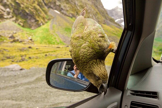 Christchurch to Arthur's Pass Day Tour: TranzAlpine Train & Lunch - Arthur’s Pass National Park and Devil’s Punchbowl