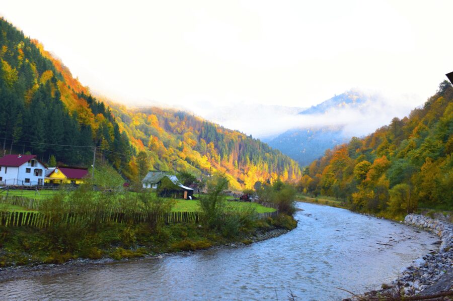 CJ03 - Day trip to Maramures Mocanita Train from Cluj Napoca - Key points to know before booking