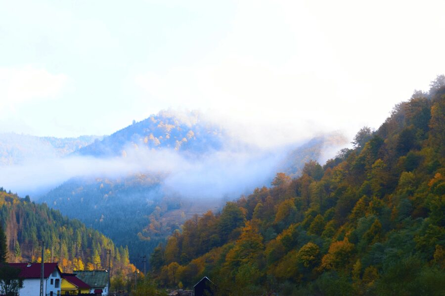 CJ03 - Day trip to Maramures Mocanita Train from Cluj Napoca - Who will enjoy this day most
