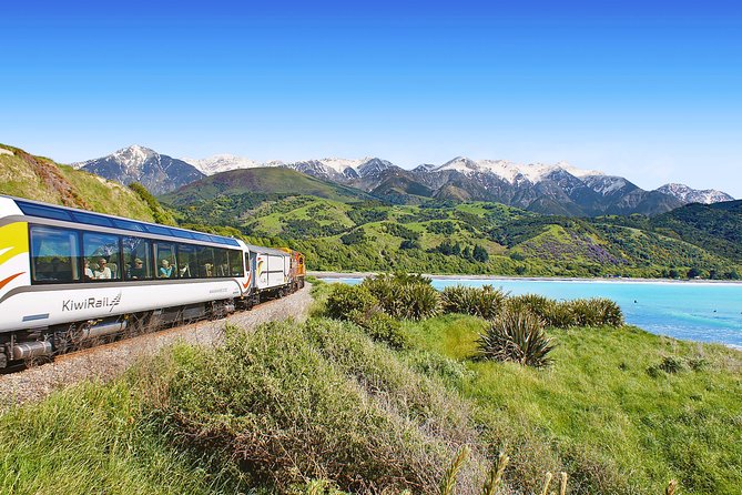 Coastal Pacific Train Journey from Picton to Christchurch - Vineyards and Marlborough views after Picton