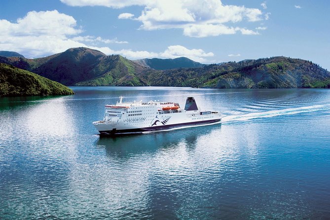 Coastal Pacific Train Journey from Picton to Christchurch - Who should choose this train?