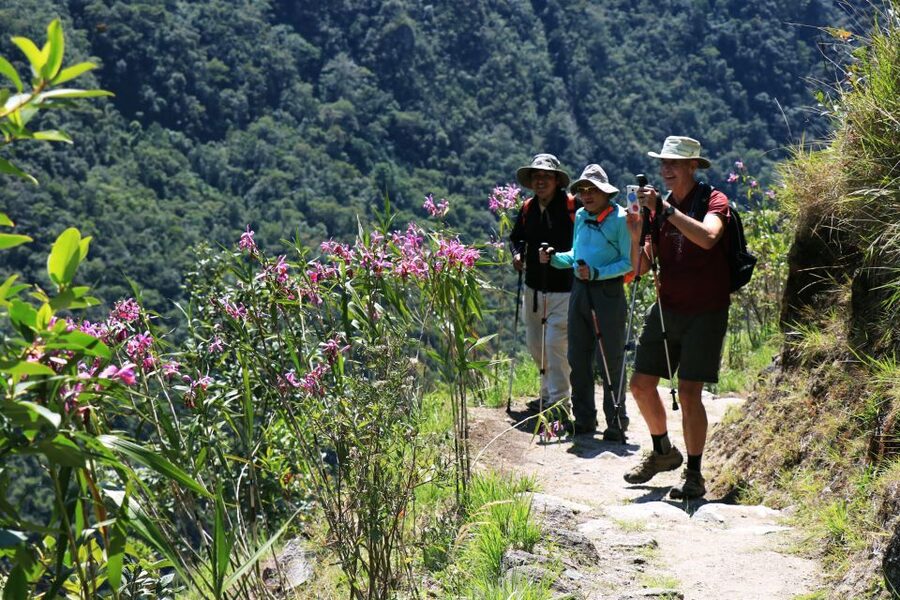 Cusco: Machu Picchu 2-Day Inca Trail with Panoramic Train - Fresh breakfast and lunch on the trail