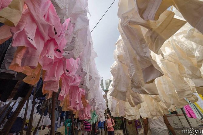 Dabbawala, Dhobi Ghat & Dharavi slum Tour with Local Train Ride - Is $35.79 a good price?