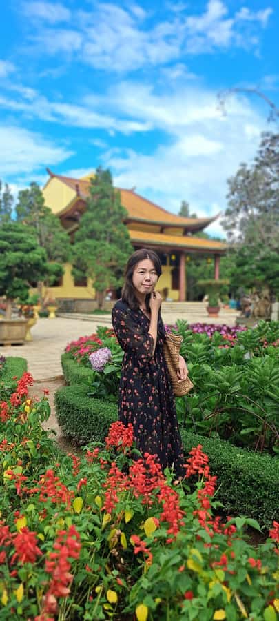 Dalat city tour by private car Combined train trip, Ziplines - Who should book this Dalat tour?