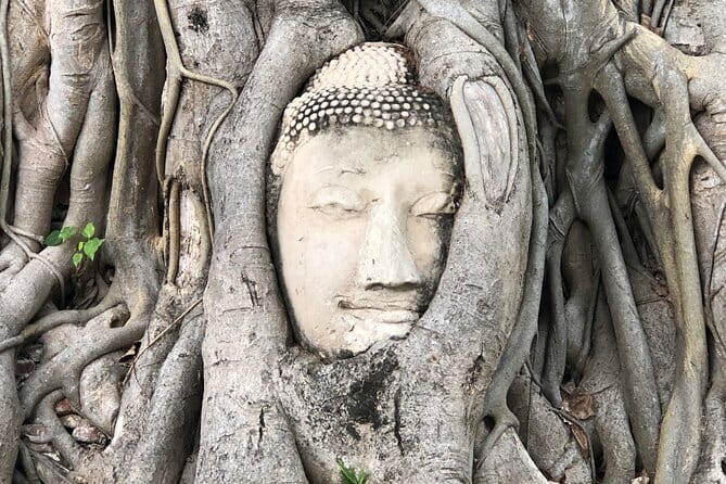 Damnoen Saduak Famous Floating Market and Mea Klong Railway Tour - Who will enjoy this tour most
