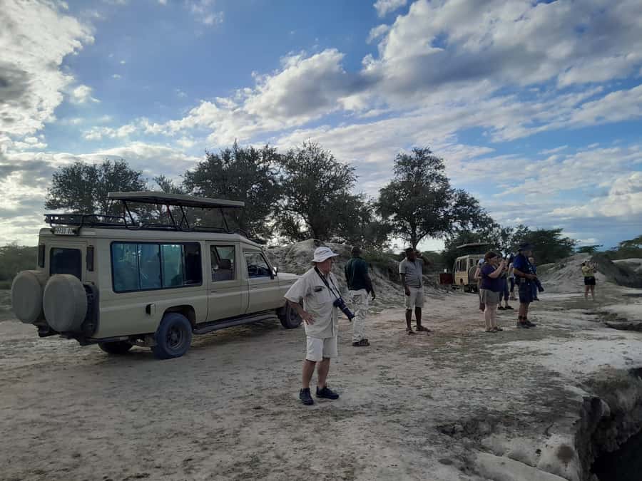 Dar es Salaam: Mikumi National Park Day Trip with Train Ride - Why this Mikumi day trip is appealing