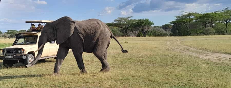 Dar es Salaam: Mikumi National Park Day Trip with Train Ride - Breakfast in Morogoro before the park