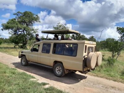 Dar es Salaam: Mikumi National Park Day Trip with Train Ride