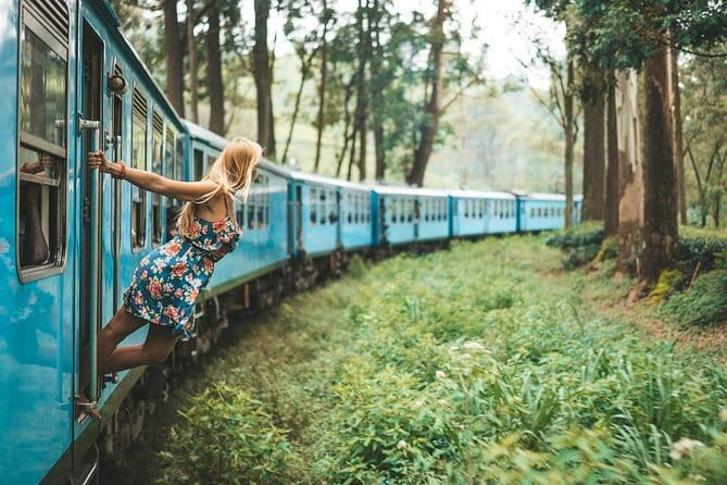 Day Excursions to Horton Plains & Local Train Experience from Ella - Key points at a glance