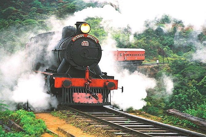 Day Excursions to Horton Plains & Local Train Experience from Ella - What to pack and what to expect