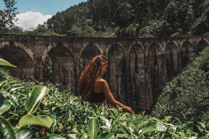 Day Excursions to Horton Plains & Local Train Experience from Ella - Who should book this Ella excursion?