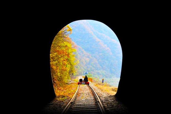 Day Tour to Gangchon Rail Bike Nami Island and Petite France - Petite France: one hour of Korean drama scenery