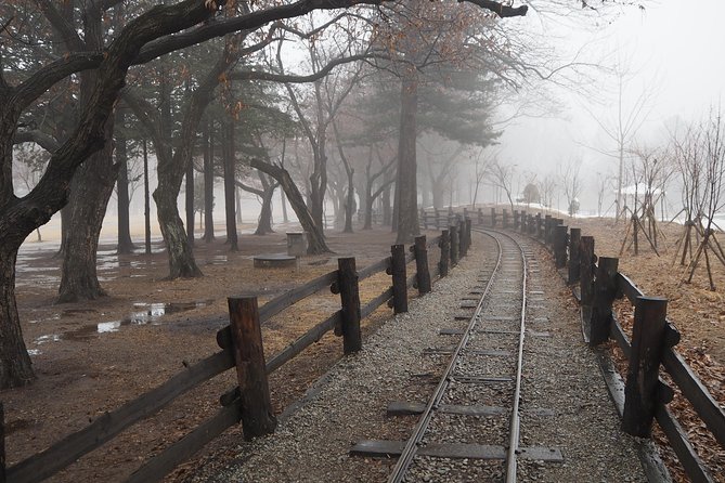 Day Tour to Gangchon Rail Bike Nami Island and Petite France - What is included, and what is not
