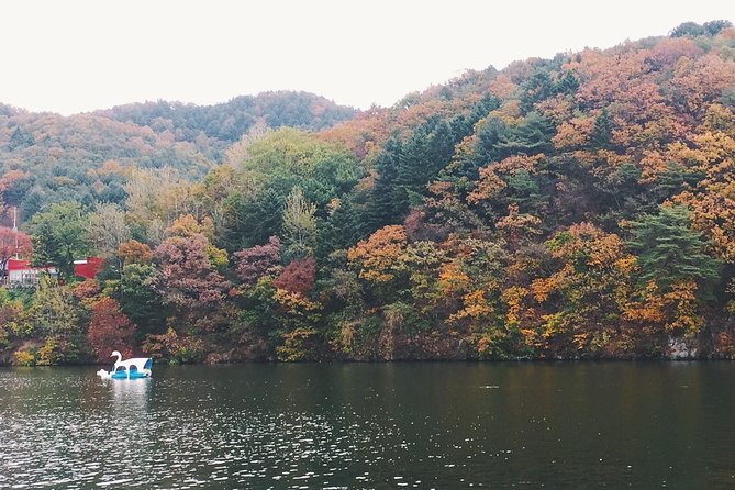 Day Tour to Gangchon Rail Bike Nami Island and Petite France - 8:40 am pickup and the value of private transport