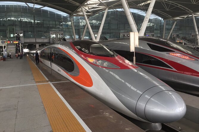 Day Tour to Shenzhen from Hong Kong by High Speed Bullet Train - Key points to know before you book