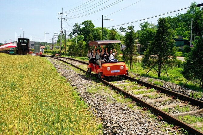 Day Trip to Nami Island with Rail bike and The Garden of Morning Calm - The Garden of Morning Calm in the early part of the day
