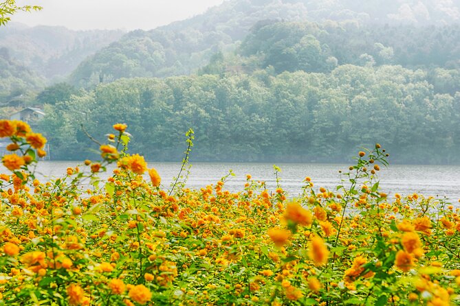 Day Trip to Nami Island with Rail bike and The Garden of Morning Calm - Who should book this experience?
