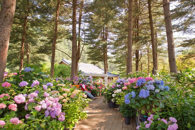 Day Trip to Nami Island with Rail bike and The Garden of Morning Calm - Should you book the Nami Island and rail-bike tour?
