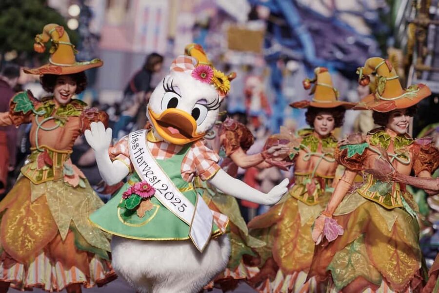 Disneyland® Paris Tickets for Train and Parks - Who should book this experience?