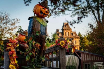 Disneyland® Paris Tickets for Train and Parks