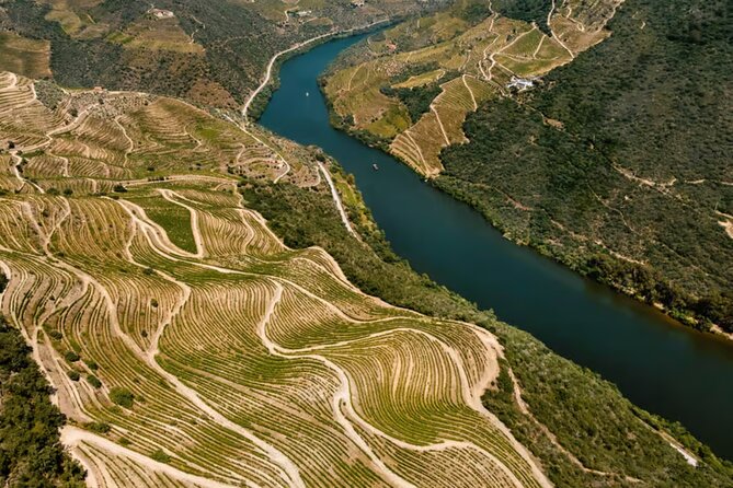Douro River Cruise from Pinhão with Scenic Train Return - Returning by scenic train from the Douro Valley
