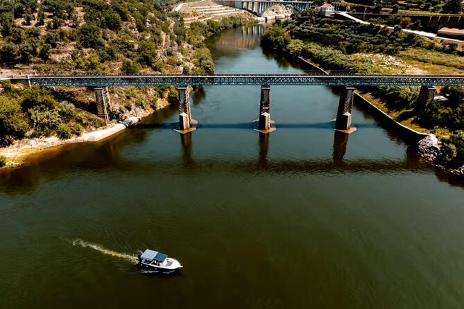 Douro River Cruise from Pinhão with Scenic Train Return - Who will enjoy this outing most?
