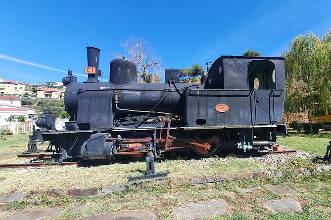 Douro Valley Tour with Train and Vinho Verde - Key things to know before you book