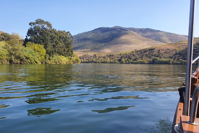 Douro Valley Tour with Train and Vinho Verde - A farm, cellar, wine, and olive oil