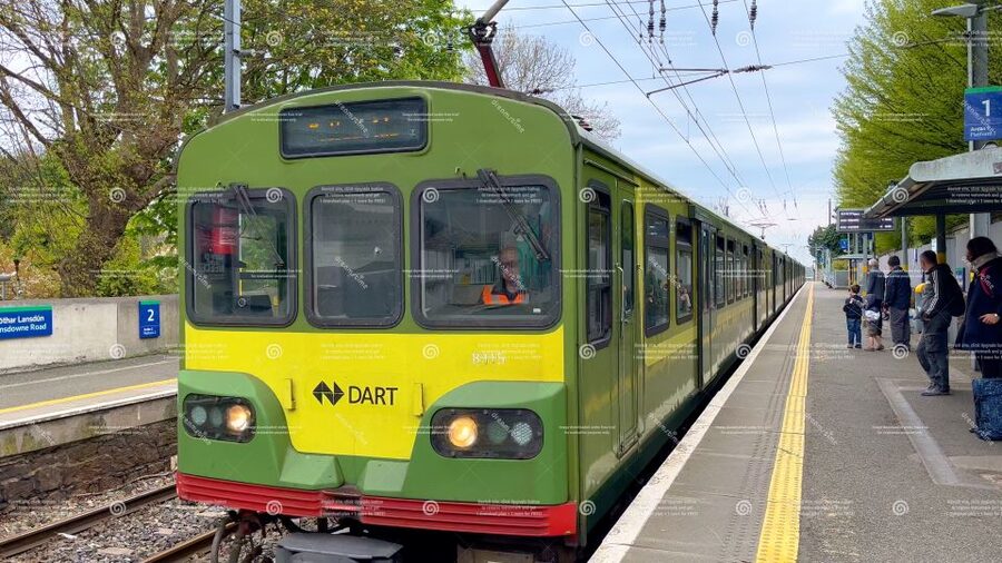 Dublin: Cruise Excursion Hop-On Hop-Off Tour & Rail Ticket - Who will enjoy this most