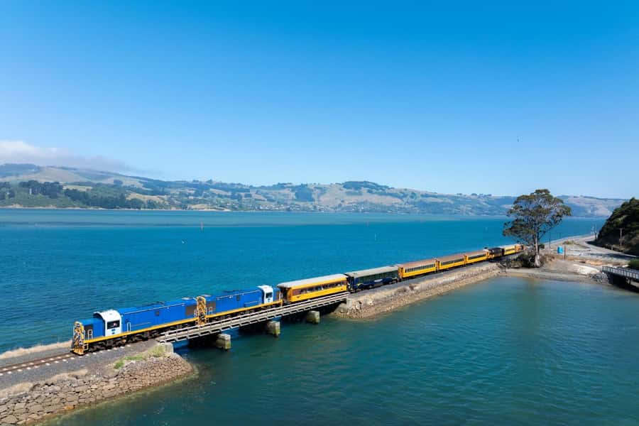 Dunedin: Scenic Railway Tour of Otago's Coastline - Key points to know before boarding