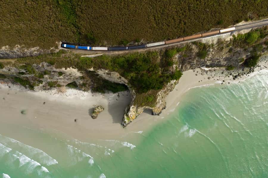 Dunedin: Scenic Railway Tour of Otago's Coastline - The Mihiwaka Tunnel changes the mood