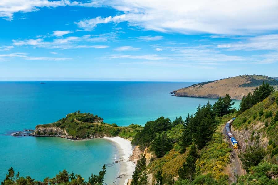 Dunedin: Scenic Railway Tour of Otago's Coastline - What you hear from the onboard storyteller